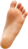 Feets logo