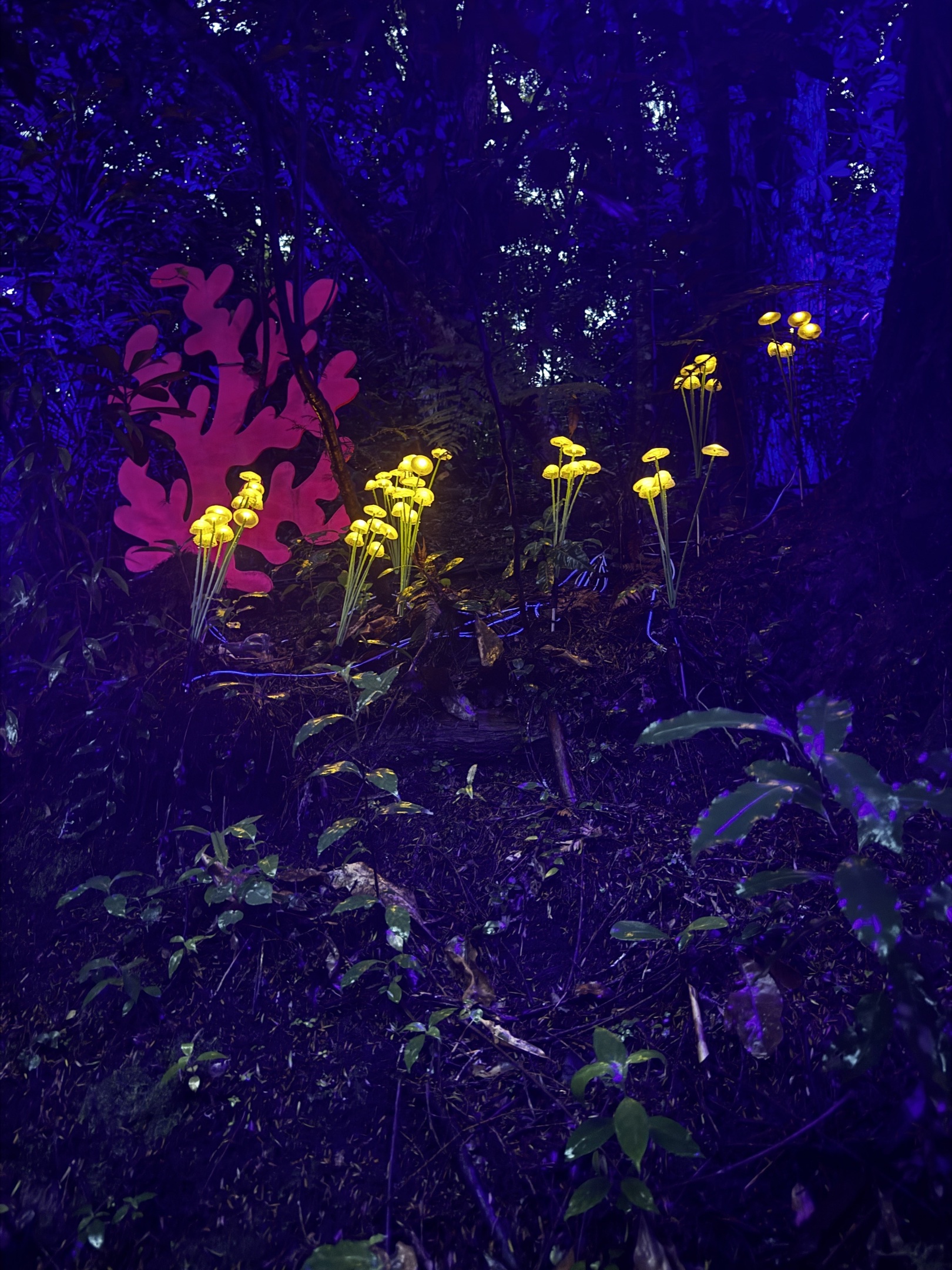 Glowing light installations that resemble plants.